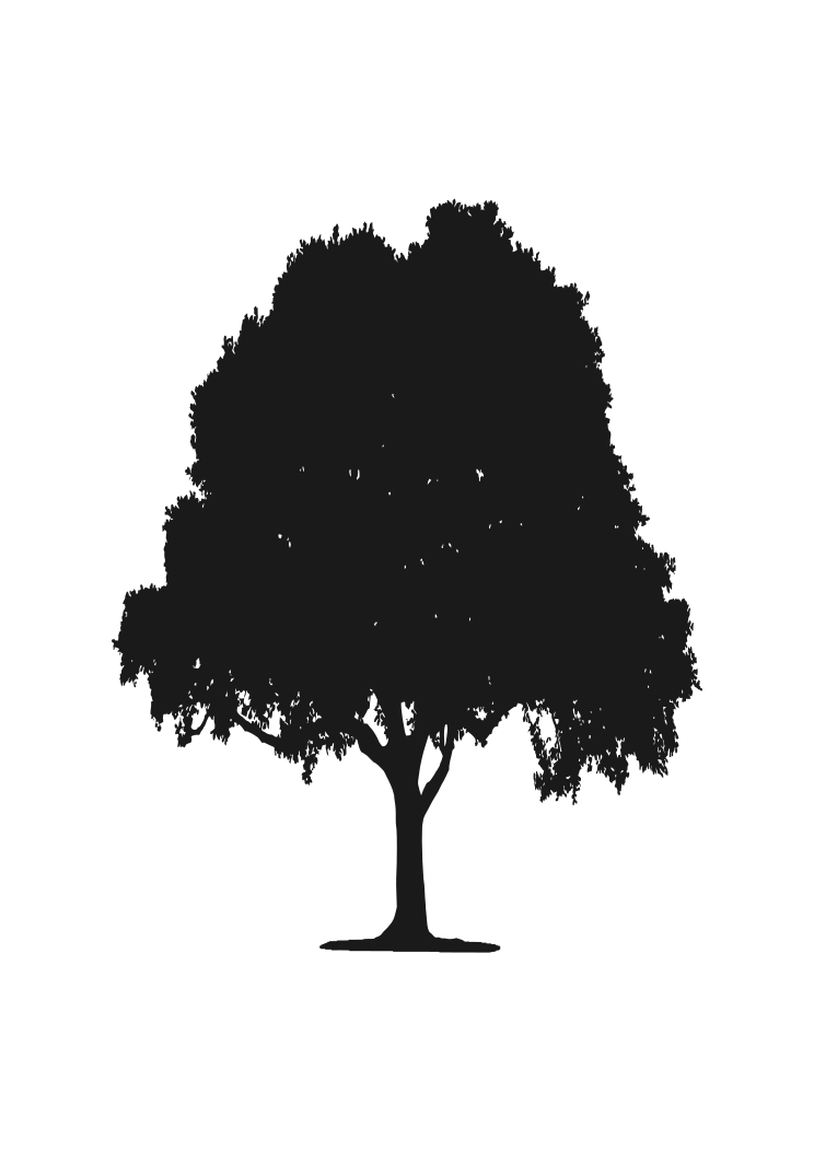 Download Tree Silhouette Free SVG File - SvgHeart.com