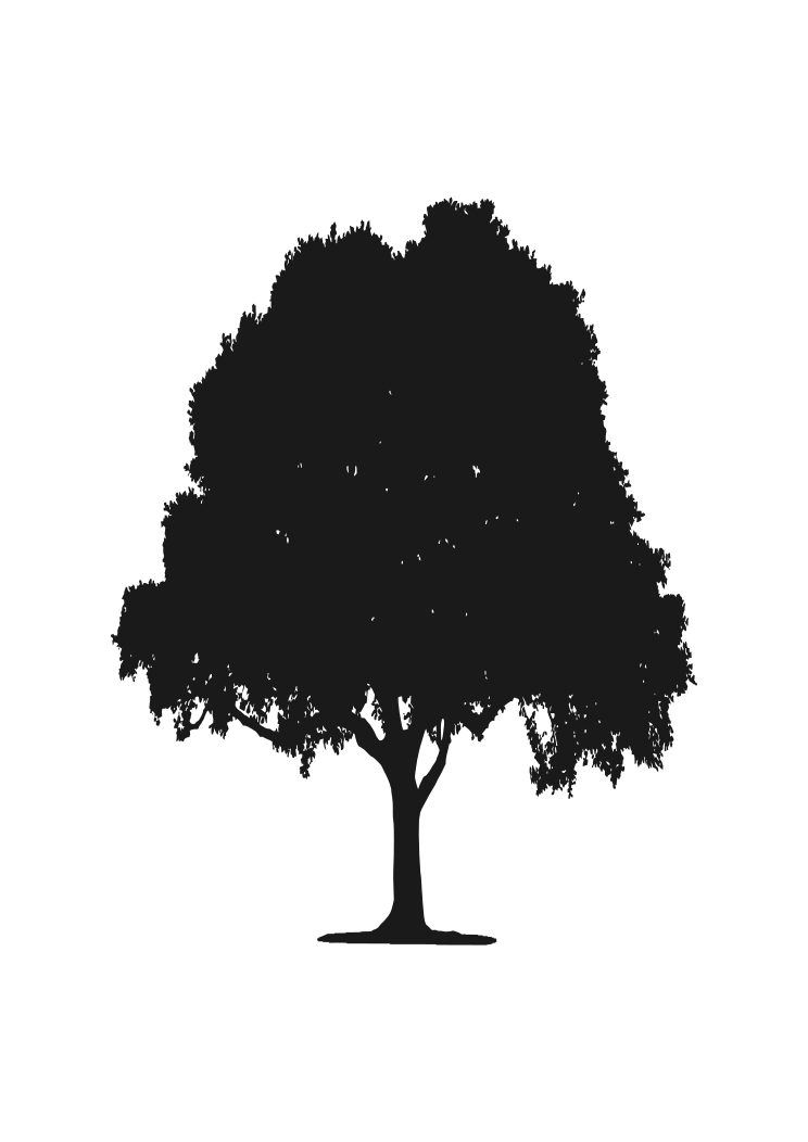 Tree Silhouette Free Svg File Svgheart Com