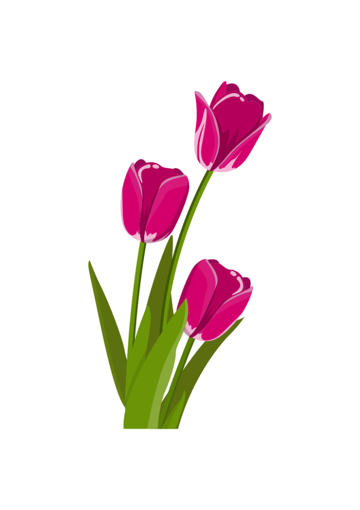 Tulip Flower Clipart - free svg file for members - SVG Heart