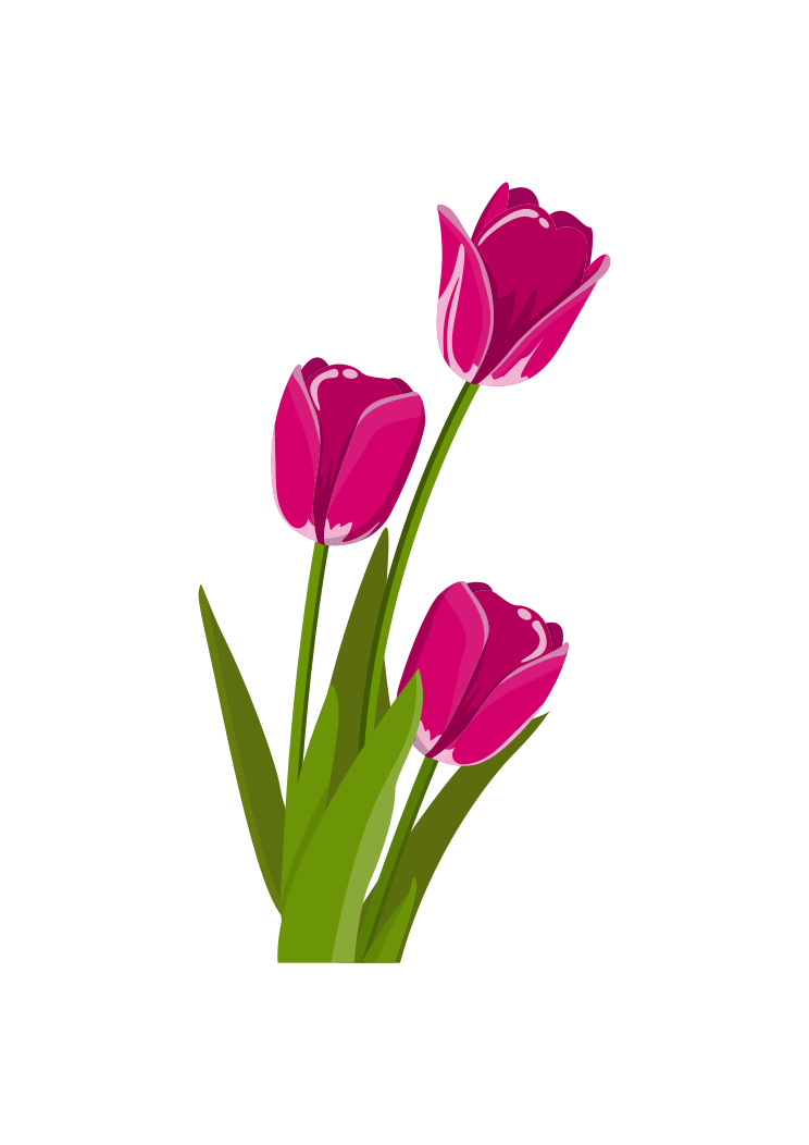 Tulip Flower Clipart Free SVG File - SvgHeart.com