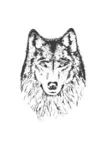 Wolf Head Art Free SVG File - SVG Heart