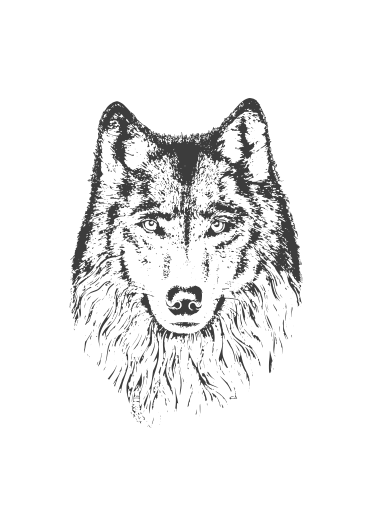 Free Free Wolf Mandala Svg Free 791 SVG PNG EPS DXF File