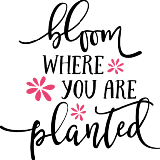 bloom-where-you-are-planted-inspirational-free-svg-file-SvgHeart.Com