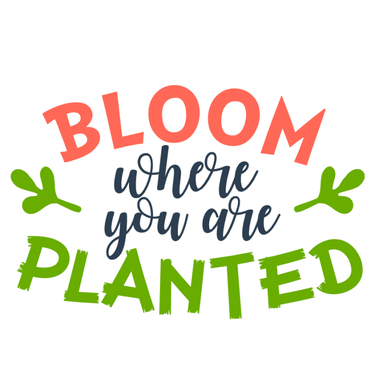 Bloom Where You Are Planted, Spring Free Svg File - SVG Heart