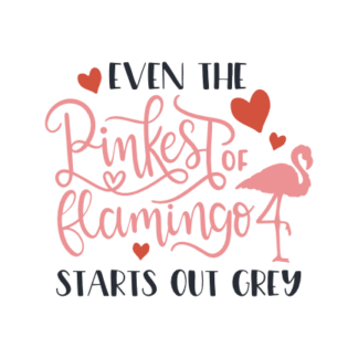 even-the-pinkest-of-flamingo-starts-out-grey-motivational-free-svg-file-SvgHeart.Com