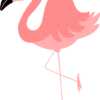 flamingo-standing-on-one-leg-clipart-summer-free-svg-file-SvgHeart.Com