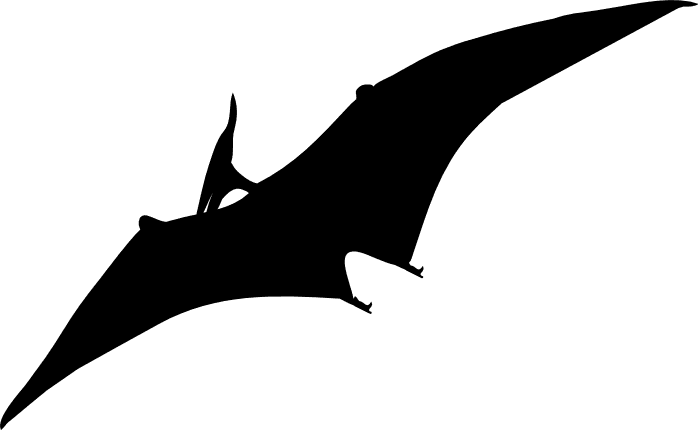 Pterodactyl - Svg, Dxf, Eps, Png, Jpg, Vector Art, Clipart, Cut File,  Dinosaur Svg, Pterosaur Svg, Flying Reptile Svg, Dino Cut File