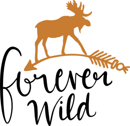 forever-wild-elk-arrow-hunting-free-svg-file-SvgHeart.Com