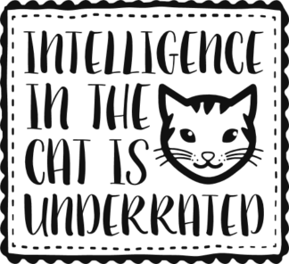intelligence-in-the-cat-is-underrated-in-frame-cat-lover-free-svg-file-SvgHeart.Com