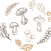 mushrooms-toadstool-leaves-acorns-nature-elements-bundle-free-svg-file-SvgHeart.Com