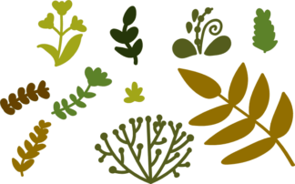 natural-elements-leaves-greenery-free-svg-file-SvgHeart.Com