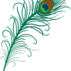 peacock-feather-decorative-free-svg-file-SvgHeart.Com