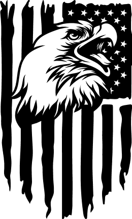 American distressed flag with eagle head, Patriotic tshirt design ...