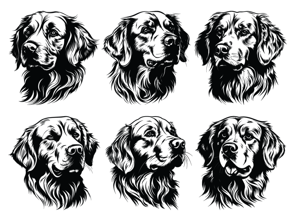 6 Golden retriever faces free svg file for members, vector image for ...