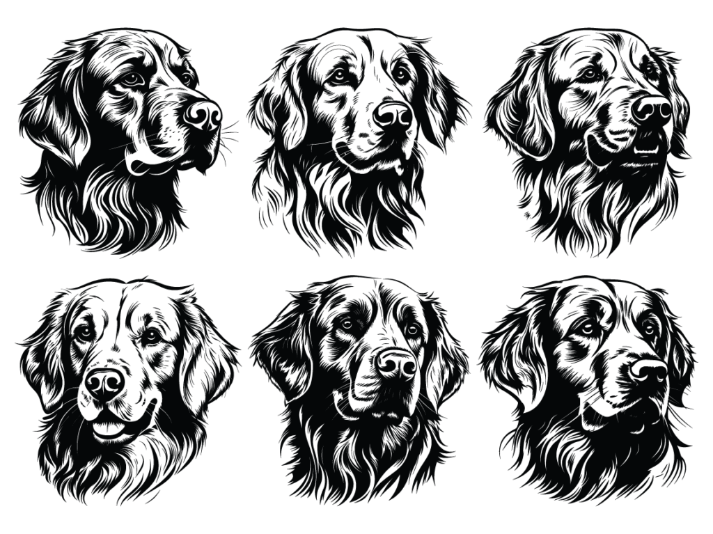 6 Golden retriever heads svg bundle, vector image for dogs lover free ...