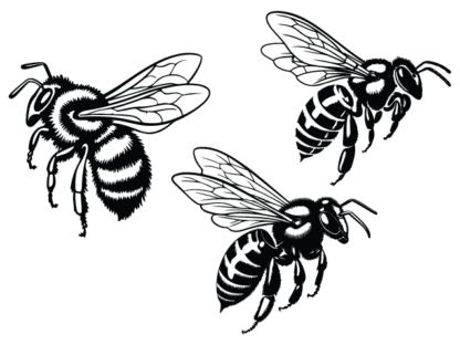 Buzzing Honey Bee free svg file for members, Flying Bees clipart image, sticker