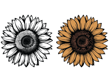 Sunflower Bloom free svg file for members, floral clipart image, decorative element