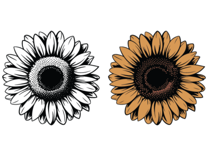 Detailed Sunflower free svg file for members, floral clipart image, decorative element