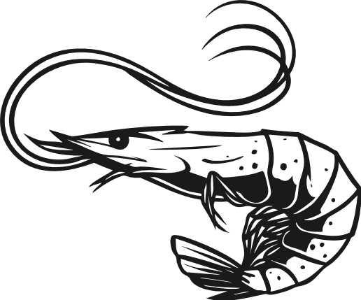 Shrimp Free SVG File – Seafood Clipart image