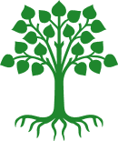 nature free svg linden tree with roots